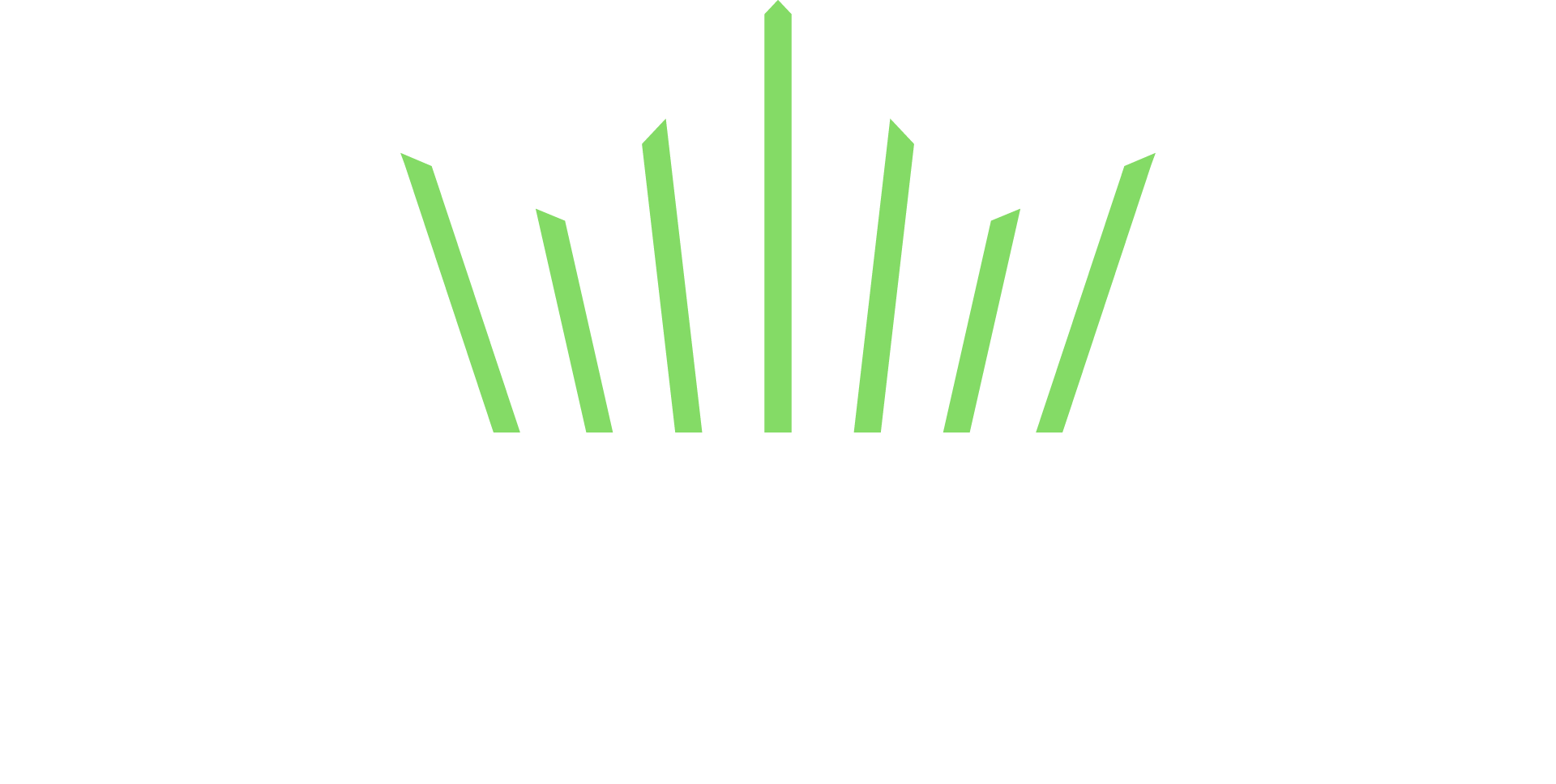 Aurex Network